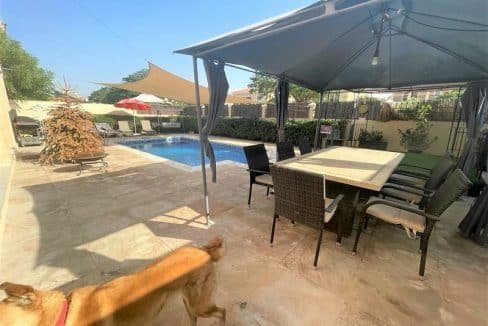 Pool in der Villa zum Kauf in Dubai The Villa Typ A1